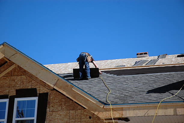Best Roof Gutter Cleaning  in Rosedale, LA